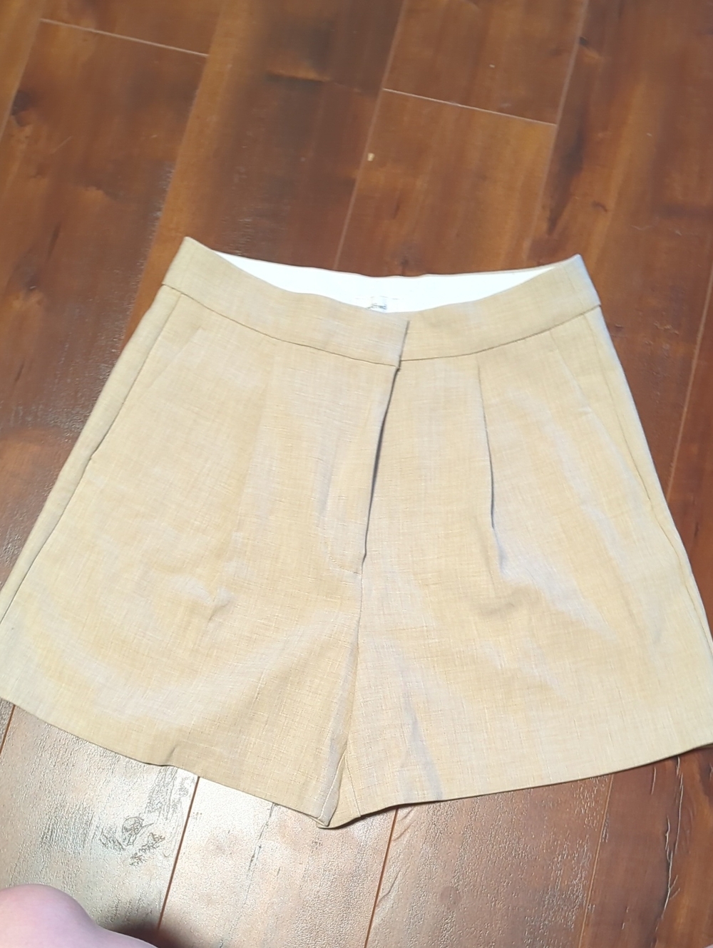 Pleated Shorts